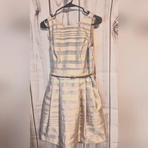Jessica Howard striped tulle shimmer Dress belted Sz 6 Pockets! - Picture 1 of 8